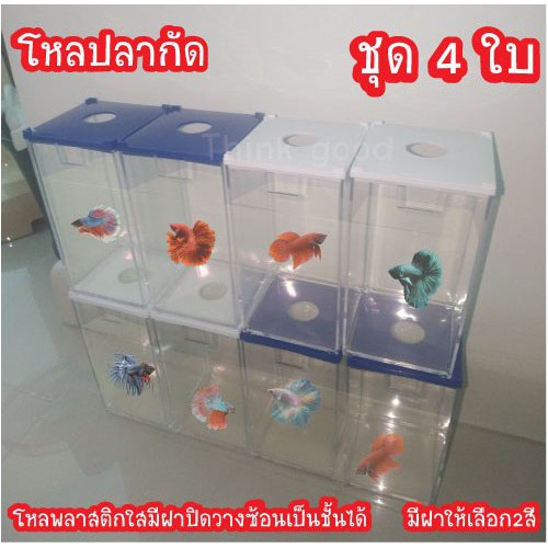 โหลปลากัด-ชุด4ใบ-โหลเลี้ยงปลากัดพลาสติกใสพร้อมฝา-ขนาด9x9x17cm-ตู้ปลากัด-วางเรียงต่อซ้อนกันได้-ไร้รอยต่อประกบ