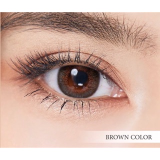 🔥 คอนแทคเลนส์ ✨ขนาดกลาง ✨Brown ✨Avenue (sweetyplus)