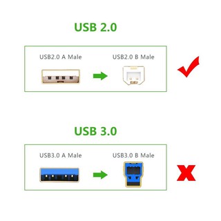 ภาพขนาดย่อของภาพหน้าปกสินค้าUGREEN รุ่น US135 USB Printer Cable สายปริ้นเตอร์ สแกนเนอร์ USB 2.0 Type B รุ่น ใช้ได้กับเครื่องปริ้นเตอร์ ยาว 1-10 เมต จากร้าน gadgetvilla บน Shopee ภาพที่ 3