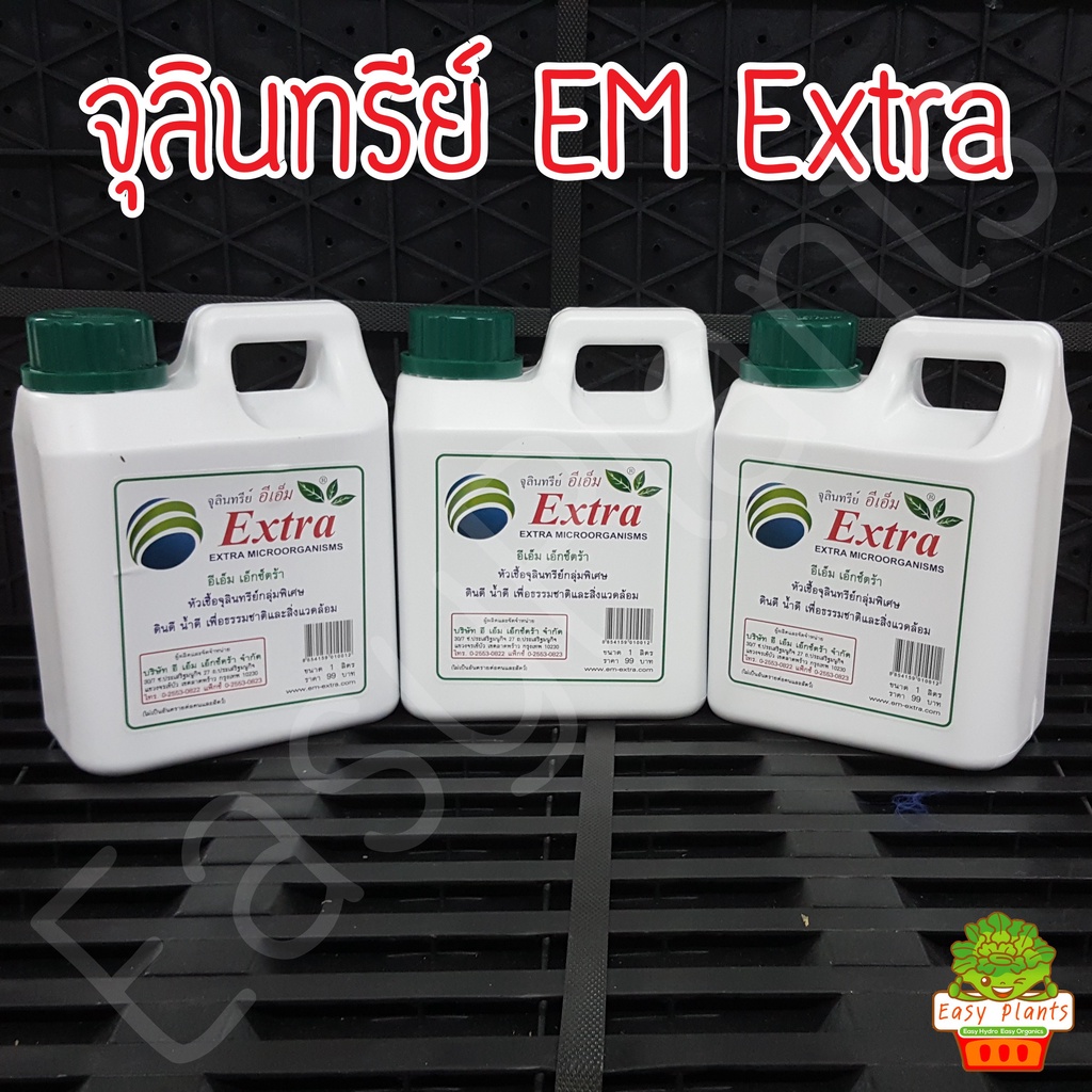 em-extra-หัวเชื้อจุลินทรีย์กลุ่มพิเศษ-หัวเชื้อจุลินทรีย์อีเอ็ม-em-extra-microorganisms-ลดกลิ่นน้ำขัง-น้ำท่วม