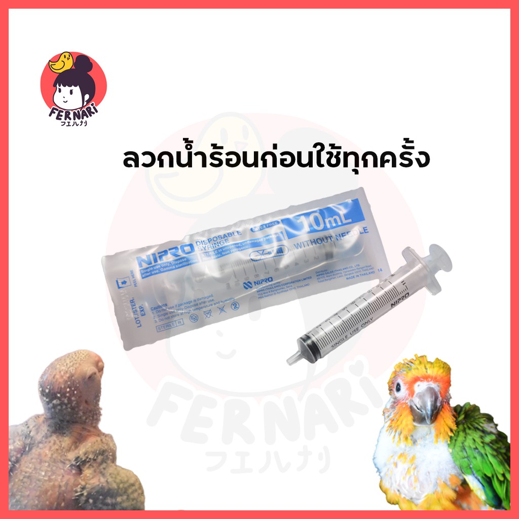 ไซริงค์-nipro-10-ml-สำหรับป้อนนก-นกแก้ว-เลิฟเบิร์ด-ค็อกคาเทล-กรีนชีค-ซันคอร์นัว-นกแก้วขนาดเล็ก