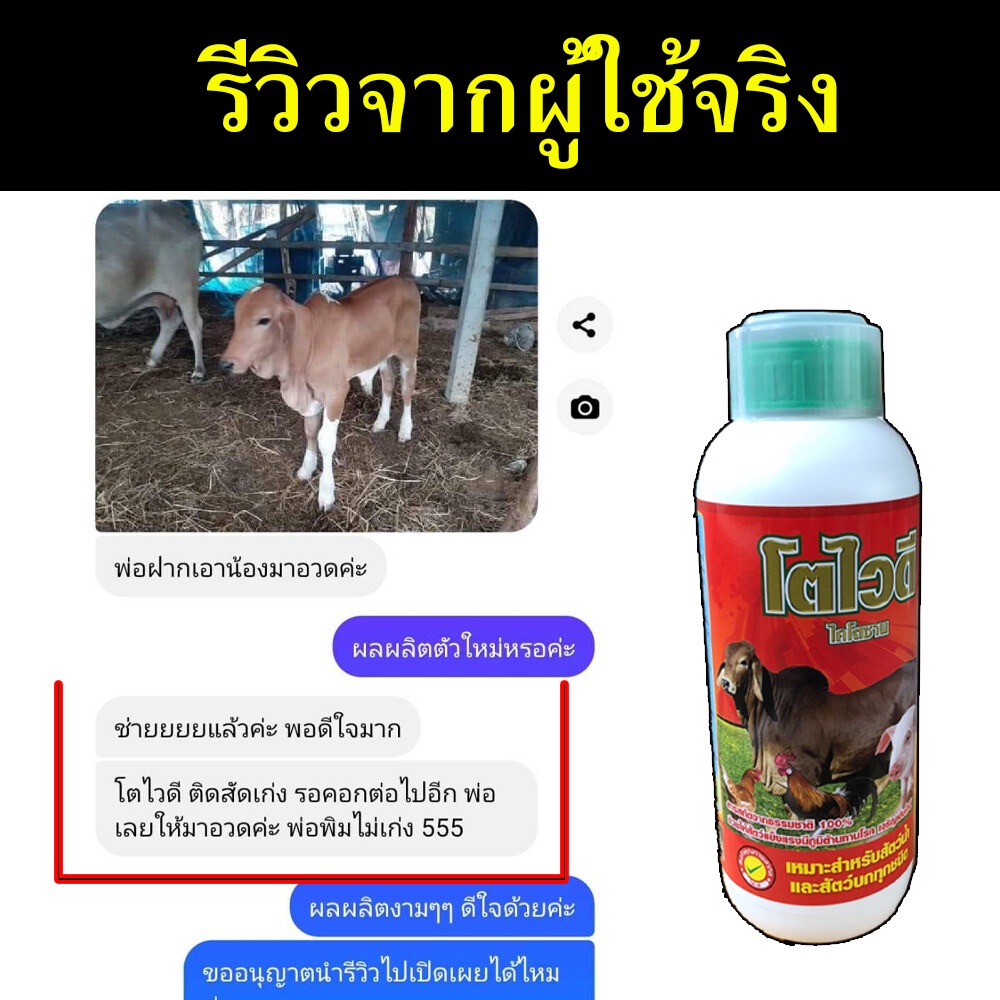 ของแท้-ส่งในไทย-เห็นผลดี-ยาควายเร่งผสมพัน-1-ลิตร-วิตามินบำรุงระบบสืบพันธุ์วัว-ยาบำรุงระบบสืบพันธุ์วัว-โตไวดี