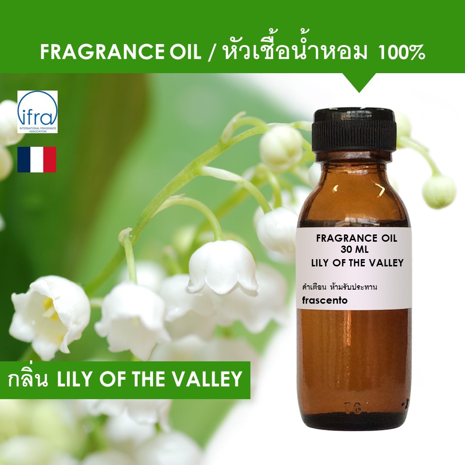 ภาพหน้าปกสินค้าLILY OF THE VALLEY FRAGRANCE OIL - หัวเชื้อน้ำหอม กลิ่น Lily of the valley (ดอกลิลลี่ ออฟ เดอะ วัลเลย์) เข้มข้นสูง ติดทน จากร้าน frascento บน Shopee