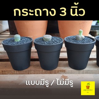 กระถางทรงขอบ 3" (3นิ้ว) กระถางแคคตัส กระถางกระบองเพชร กระถางพลาสติก สีดำ