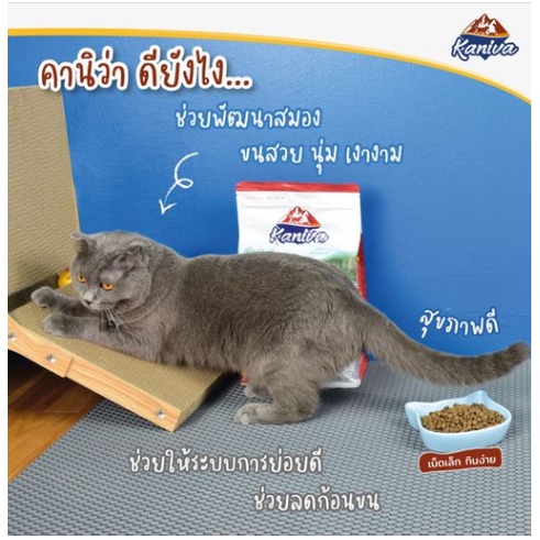 kaniva-คานิวา-อาหารแมว-ปริมาณ1-4-1-5kg-อาหารแมวพรีเมียม-มีหลายสูตรให้เลือกค่ะ