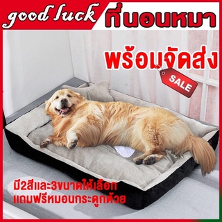 ภาพหน้าปกสินค้า(🔥 พร้อมส่ง🔥)เตียงนอน ผ้าฝ้าย และผ้าลินิน แบบนิ่ม ขนาดเล็ก กลาง และใหญ่ ให้ความอบอุ่น สําหรับสัตว์เลี้ยง สุนัข แมว ที่เกี่ยวข้อง