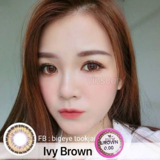 💖 Kitty Kawaii ivy brown gray Contactlens บิ๊กอาย คอนแทคเลนส์ ราคาถูก แถมตลับฟรี