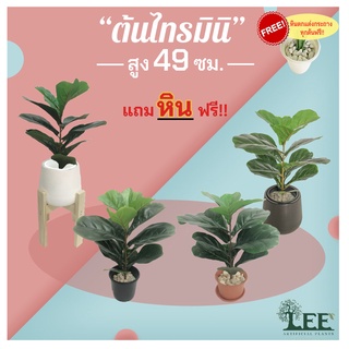 (ต้นไม้ยอดนิยม!) ต้นไทรใบสักปลอม รุ่นมินิ สูง 49 ซม. #ต้นไม้ปลอมตกแต่งบ้าน Leeartplants