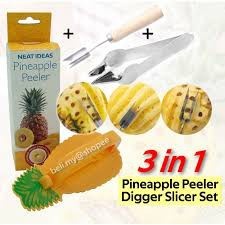 csh-ที่ปอกและหั่นแว่นสัปปะรด-รุ่น-pineapple-peeler-neat-ideas-21sep-j1