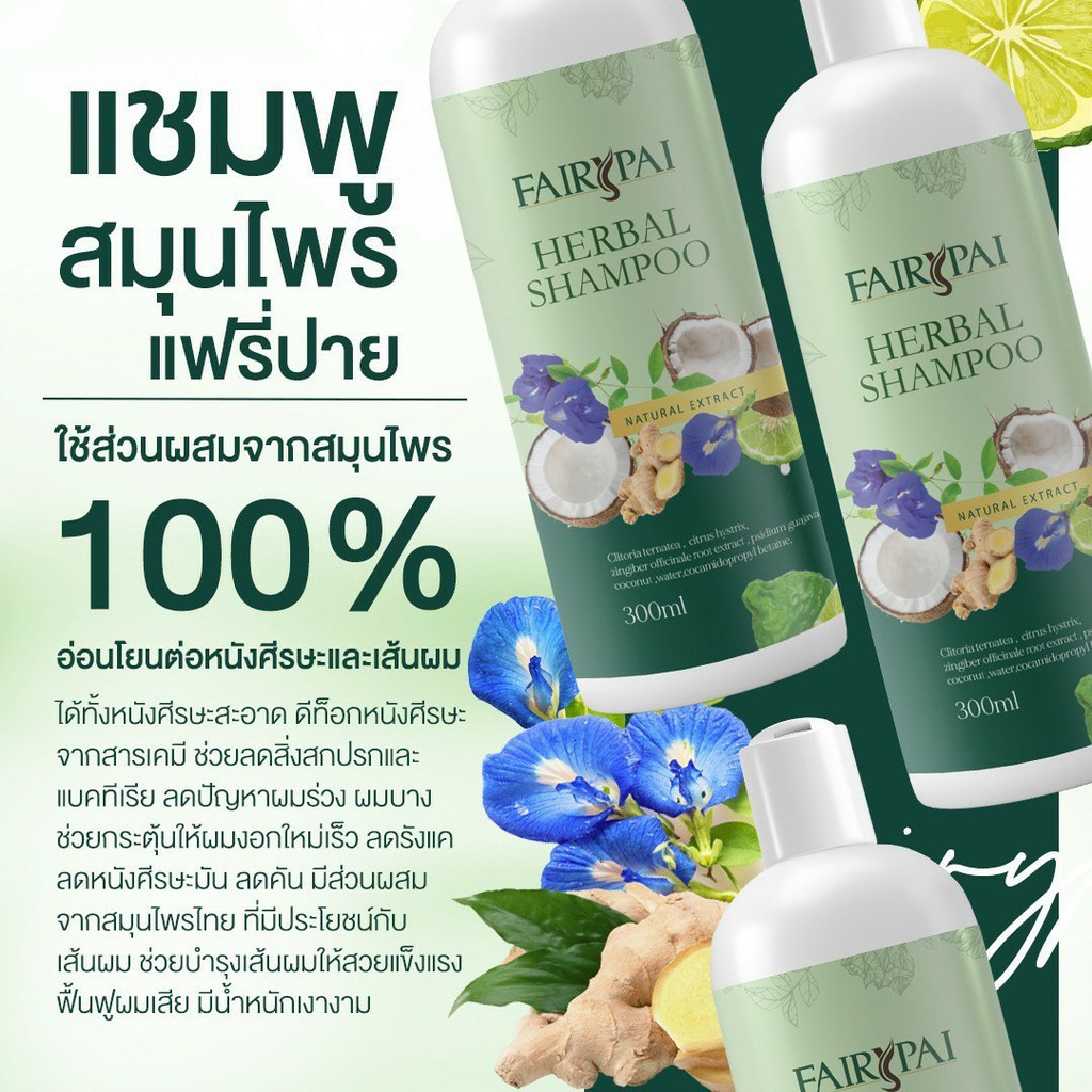 แชมพู-แฟรี่ปาย-herbal-shampoo-fairy-pai-ขนาด-300-ml-โฉมใหม่-แถมฟรีทรีทเม้นค่ะ