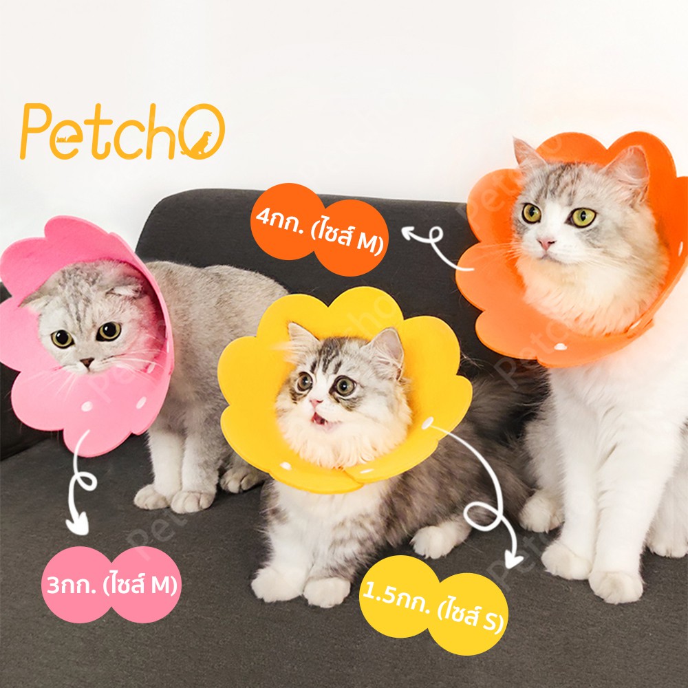 รูปภาพสินค้าแรกของPetcho ปลอกคอแมวและหมา คอลล่าแมว ลำโพงแมว ปลอกคอกันเลีย ที่กันเลีย เหมาะสำหรับแมวและสุนัข