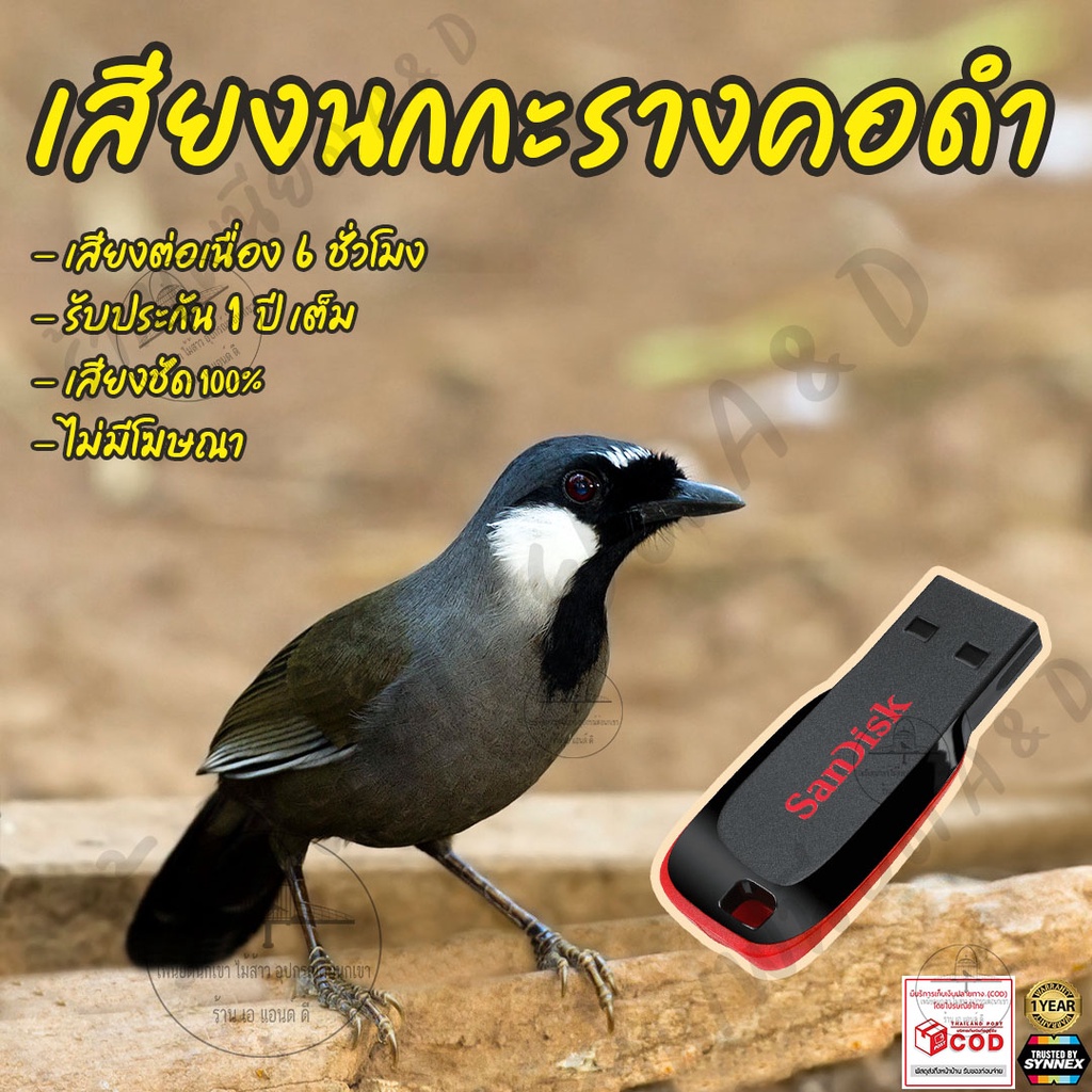 เสียงต่อ-นกกะรางคอดำ-ยาว6ชั่วโมง-ไม่มีโฆษณา-แฟลชไดร์ฟ-flash-drive-มีเก็บเงินปลายทาง