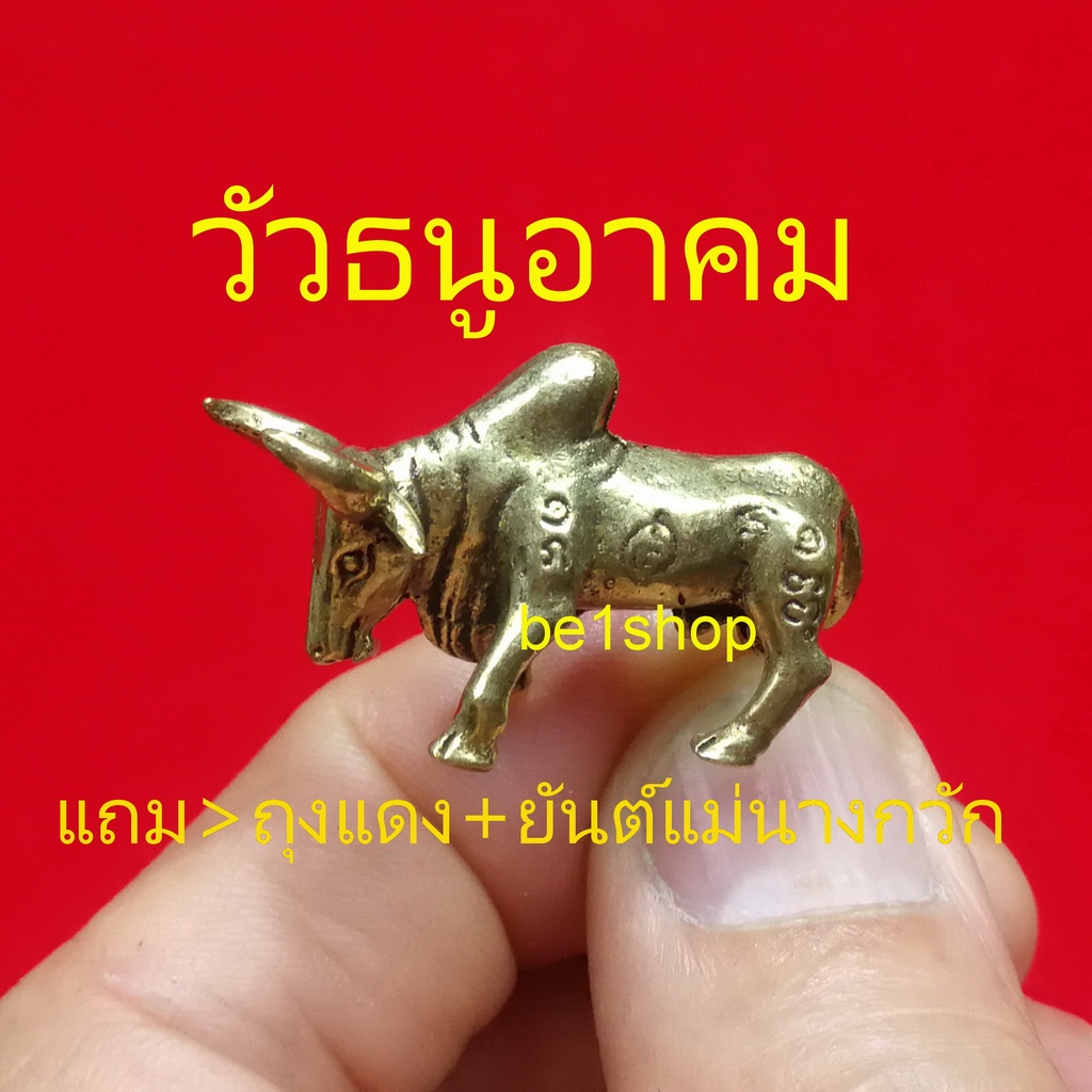 วัวธนูอาคม-วัวลงอาคม-ป้องกันคุณไสย-ภูตผีปีศาจ-อาถรรพ์ด่างๆ