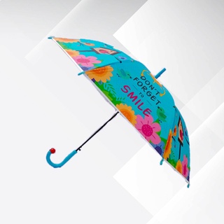 ภาพหน้าปกสินค้าApple Umbrella ร่ม 22นิ้ว ผ้าEVA ลายผลไม้ (AP407) ที่เกี่ยวข้อง