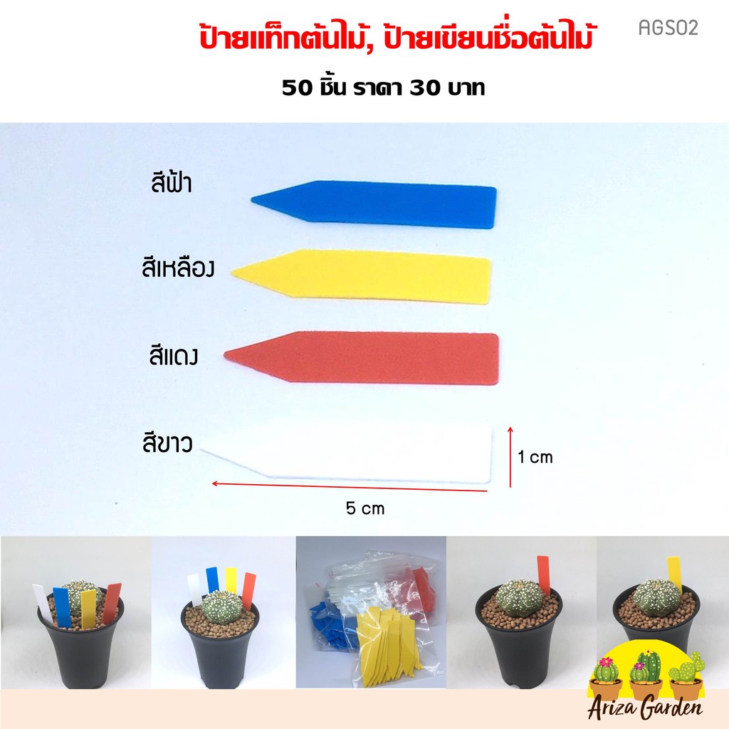 ป้ายชื่อต้นไม้-ป้ายแท็กต้นไม้-tag-1-ชุด-มี-50-ชิ้น-ขนาด-1-5-cm