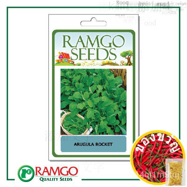 rch-arugula-rocket-seeds-jjki