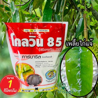 🍁 โกลวิน 85 (คาร์บาริล) 1 กิโล ยากำจัดแมลง เพลี้ย ยาฆ่าหนอน กำจัดหนอน ปลวก มด  สำหรับ : พืชผัก ไม้ผล และไม้ดอกไม้ประดับ