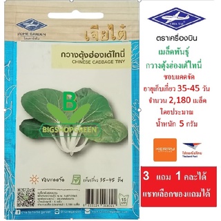 5 ฟรี 1 คละได้ เมล็ดพันธุ์  กวางตุ้ง ฮ่องเต้ไทนี่  ตราเจียไต๋  เมล็ดผัก  เมล็ดพันธุ์ผัก  เมล็ดพันธุ์พืช  เมล็ดพืช