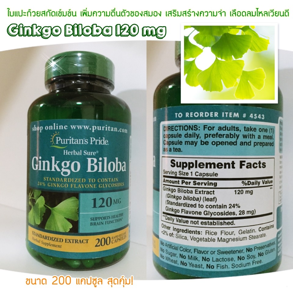 ภาพสินค้าใบแปะก๊วย Puritan's Pride Ginkgo Biloba Standardized Extract 120 mg/ 200 Capsules จากร้าน puppy142 บน Shopee ภาพที่ 1