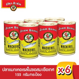 อะยัม ปลากระป๋องแมกเคอเรลในซอสมะเขือเทศ 155 กรัม x 6 กระป๋อง