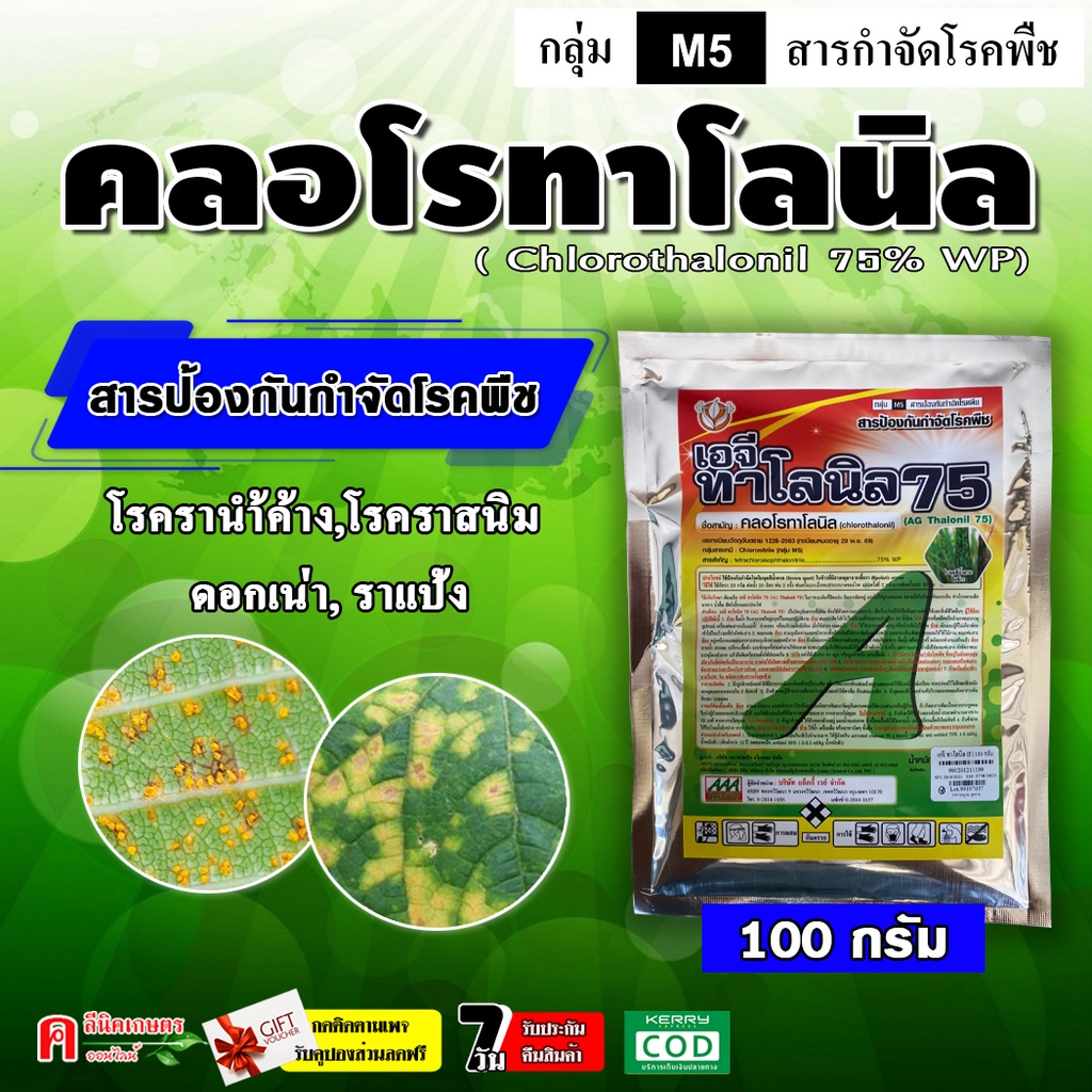 คลอโรทาโลนิล-75-wp-100g-สารป้องกันกำจัดโรคพืช-เชื้อรา-โรคใบจุด-โรคราน้ำค้าง-โรคแอนแทรคโนส-โรคราสนิม-โรคกุ้งแห้ง-โรคตากบ-เช่น-ดาวเรือง