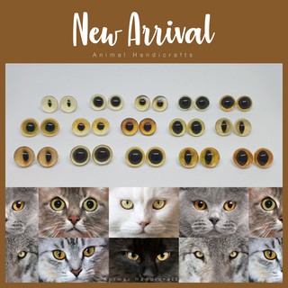 ราคาลูกตาสัตว์ เสมือนจริง ขนาด 12 mm  มีก้านเสียบด้านหลัง (Collection 01)(พร้อมส่ง!) Animal Handicrafts