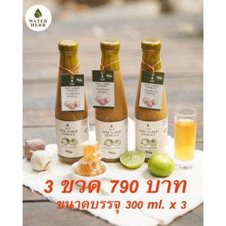 น้ำขิงและกระเทียมผสมน้ำผึ่ง Water Herb เครื่องดื่มสมุนไพรบำรุงสุขภาพ บรรจุ 300ml จำนวน 3 ขวด