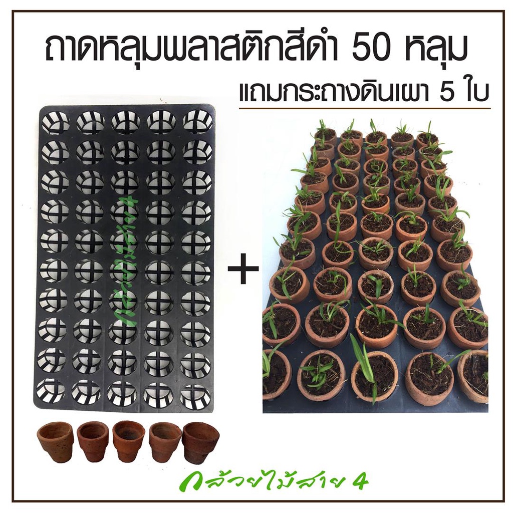 ถาดหลุมกลม-1-5-นิ้ว-50-หลุม-มือสอง-ถาดใส่กระถางต้นไม้-ถาดหลุมพลาสติก-พลาสติกแข็งแรง-เกรดพรีเมี่ยม