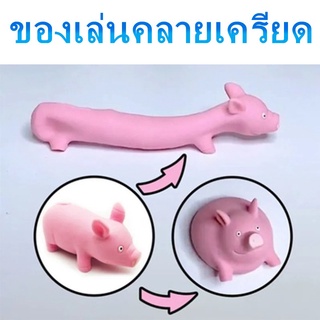 TikTok ตุ๊กตาหมู ดึงยืดได้ ของเล่นบรรเทาความเครียด สำหรับเด็ก