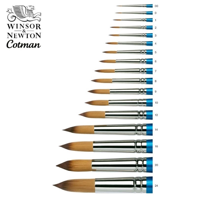 winsor-amp-newton-cotman-brush-series-111-roundพู่กันกลมเกรดพรีเมี่ยมสำหรับสีน้ำ