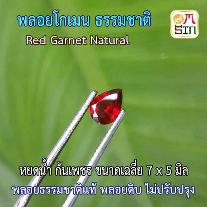 a122-7-x-5-มิล-1-เม็ด-พลอย-โกเมน-สีแดง-garnet-หยดน้ำ-ธรรมชาติ-พลอยแท้100