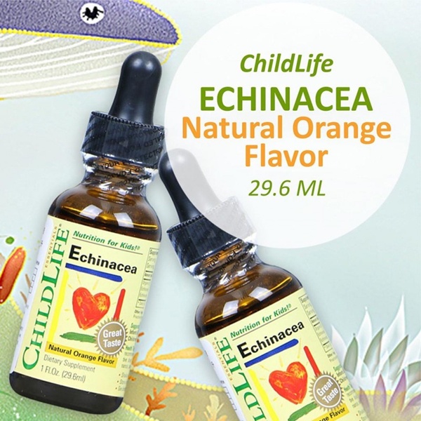 childlife-essentials-echinacea-natural-orange-flavor-1-fl-oz-29-6-ml