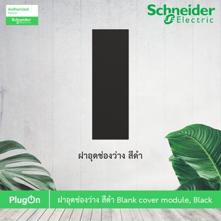 ภาพขนาดย่อของภาพหน้าปกสินค้าSchneider Electric ฝาอุดช่องว่าง สีดำ Blank cover module, Black รุ่น AvatarOn A : M3T01BC_BK สั่งซื้อได้ที่ร้าน PlugOn จากร้าน plugon บน Shopee ภาพที่ 1