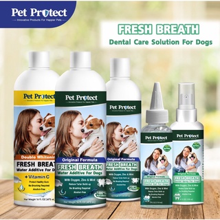 ภาพหน้าปกสินค้า[สุนัข]Pet Protect น้ำยาบ้วนปากสุนัข ปลอกนิ้วแปรงฟัน เจลทาฟันสุนัข สเปรย์พ่นปากสุนัข ขจัดคราบหินปูนสุนัข ดูแลสุขภาพฟัน ที่เกี่ยวข้อง