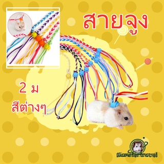 【พร้อมสต็อก】เชือกจูง สำหรับสัตว์เลี้ยง แฮมสเตอร์ เม่นเเคระ กระต่าย กระรอก ชูการ์QYS