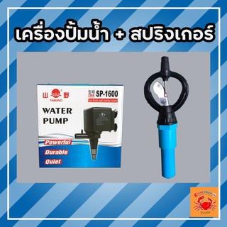 เครื่องปั้มน้ำ แถมฟรีหัวสปริงค์เกอร์