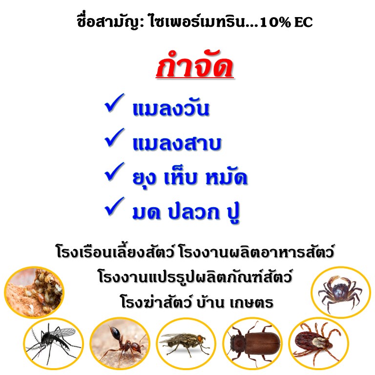 ไซเพอร์เมทริน-10-ยาฆ่าแมลงวัน-ยาฆ่ามด-น้ำยาพ่นยุง-ยาฆ่าแมลงสาบ-ยาฆ่าปลวก-ยาฆ่าเห็บ-ยาฆ่าหมัด-ยาเบือปู-ขนาด-100-ซีซี