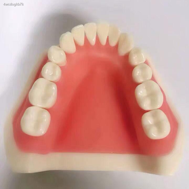 แบบจำลองการสาธิตทันตกรรมสำหรับการเตรียมฟันแบบครึ่งปาก-แบบจำลองการเตรียมการสำหรับการเตรียมฟันกราม