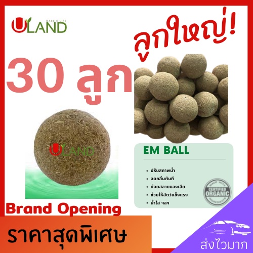 uland-emball-อีเอ็มบอล-30-ลูก-บำบัดน้ำเสีย-ลดกลิ่นทันที-ย่อยสลายของเสีย-ตะกอนไขมัน-สารอินทรีย์-น้ำใสขึ้น-ผลิตจากหัวเชื้อ