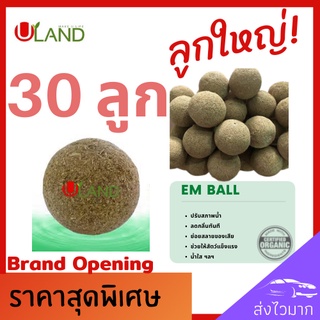 Uland Emball อีเอ็มบอล 30 ลูก บำบัดน้ำเสีย ลดกลิ่นทันที ย่อยสลายของเสีย ตะกอนไขมัน สารอินทรีย์ น้ำใสขึ้น ผลิตจากหัวเชื้อ