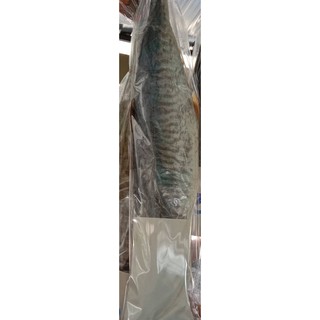 ภาพหน้าปกสินค้าปลาอินทรีหอม 1 ตัว(น้ำหนักประมาณ 700-900 กรัม) ซึ่งคุณอาจชอบราคาและรีวิวของสินค้านี้