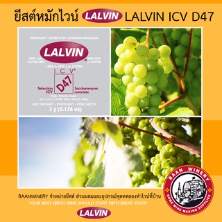 ยีสต์ หมัก ไวน์ ยีสต์ทำไวน์ ยีสต์ หมัก ไวน์ ยีสต์ ทำ ไวน์ ผง ยีสต์ Lalvin ICV D47 WINE YEAST