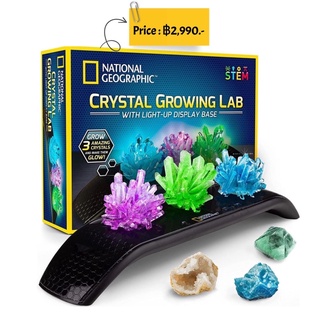 ชุดสร้างหินคริสตัล NATIONAL GEOGRAPHIC Crystal Growing Kit