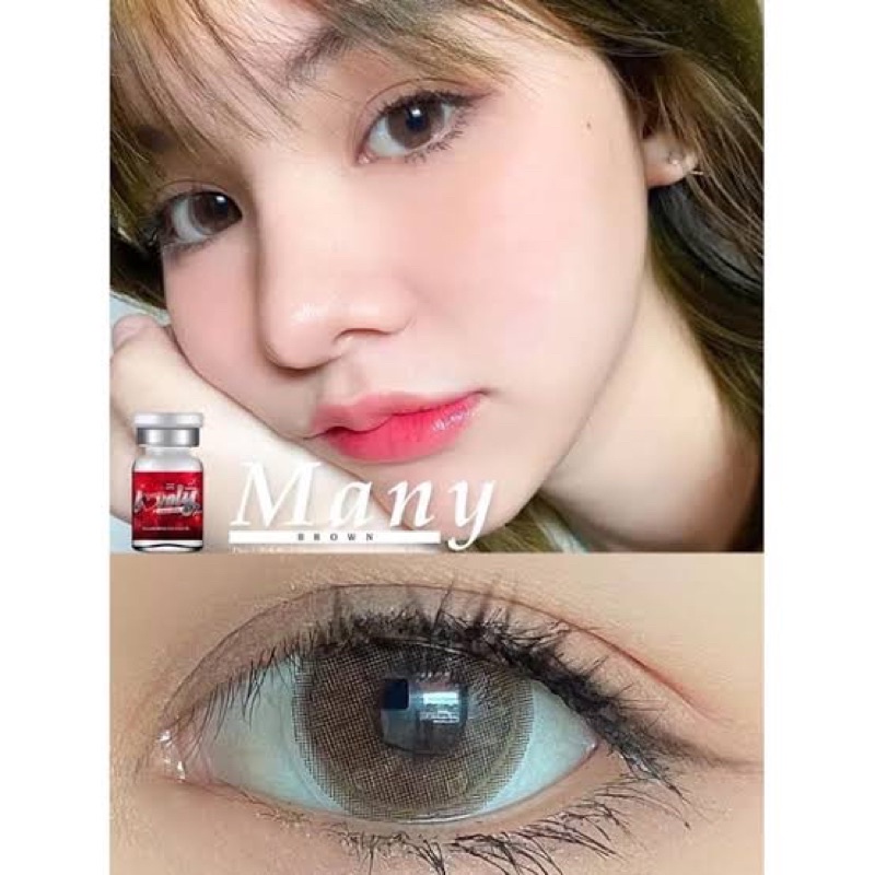 many-gray-brown-ขนาดbigeye-บิ๊กอาย-คอนแทคเลนส์-bigeyes