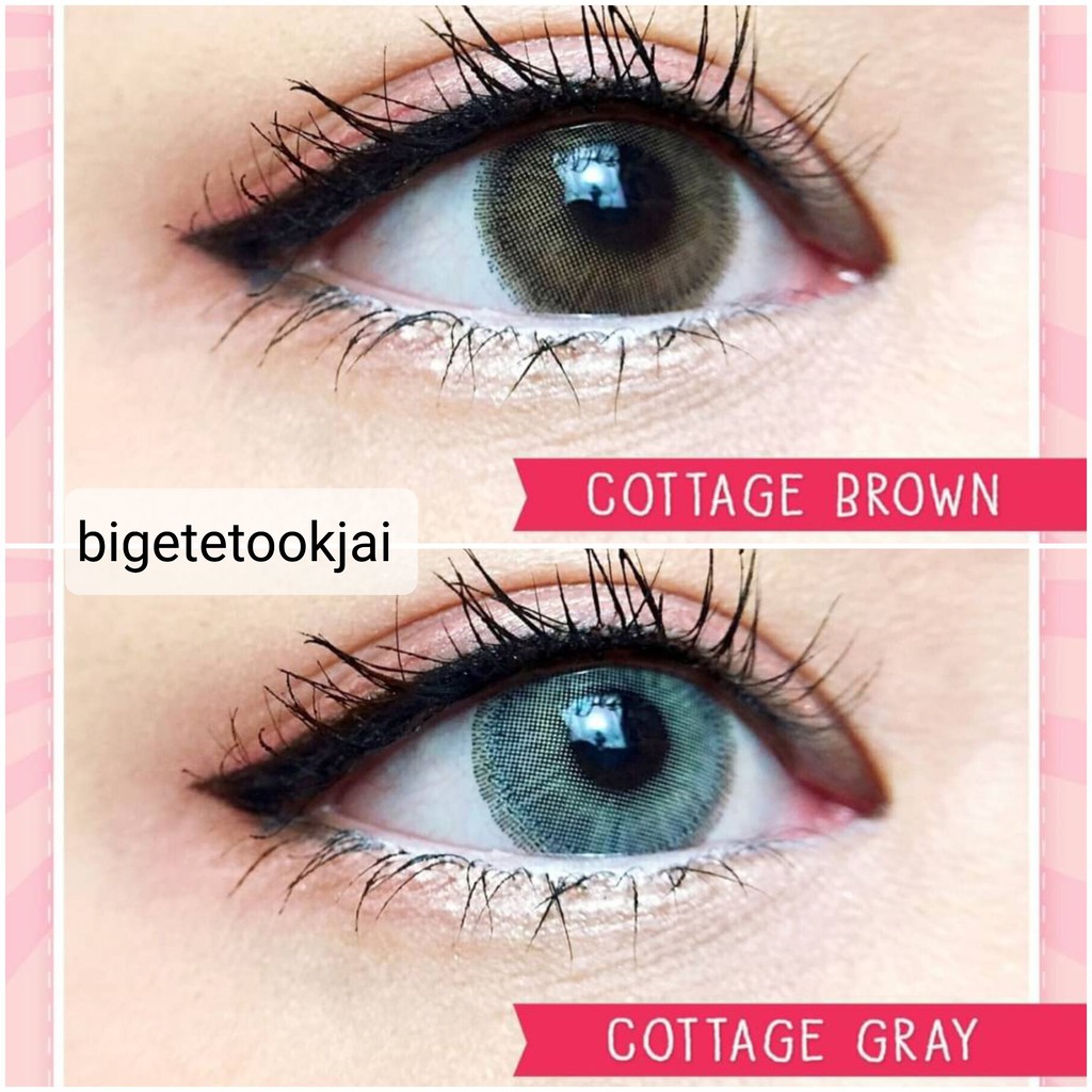 kitty-kawaii-๑-cottage-00-ถึง-1000-brown-gray-contactlens-บิ๊กอาย-คอนแทคเลนส์-ราคาถูก-แถมตลับฟรี