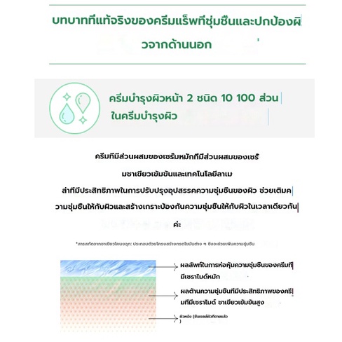 innisfree-green-active-ceramide-barrier-cream-1ml-ครีมบำรุงหน้าผิวเพิ่มความชุ่มชื้นด้วยชาเขียวเข้มข้น-icc