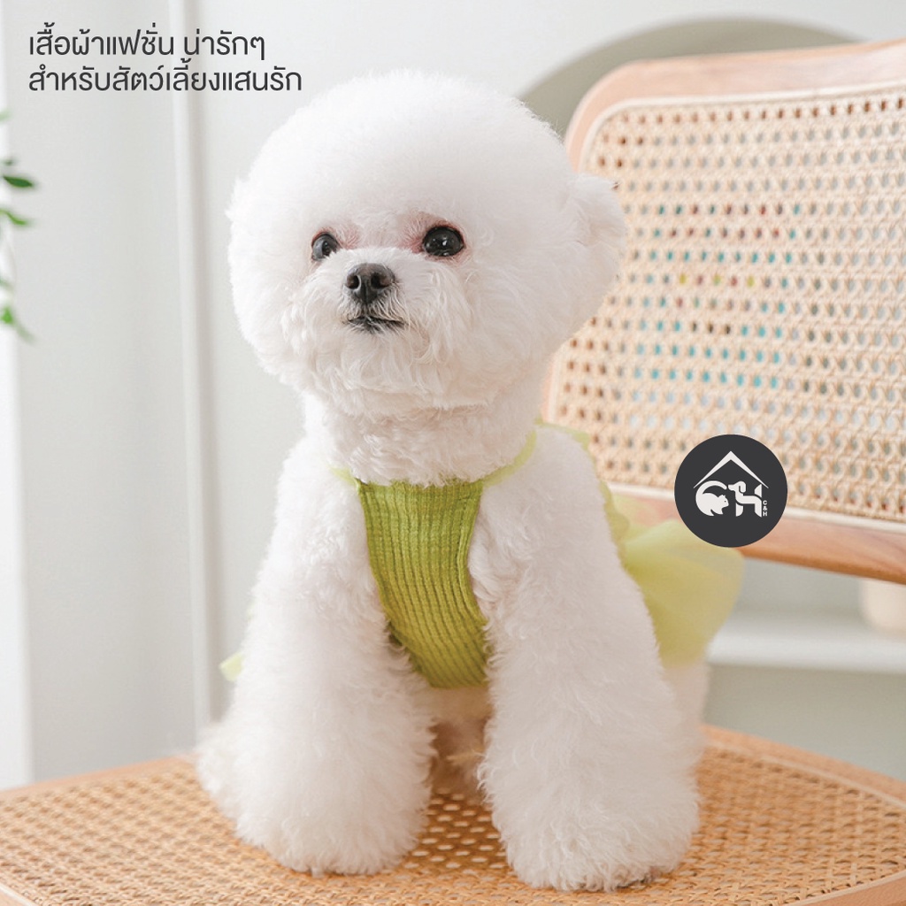 เสื้อผ้าแฟชั่น-สำหรับสัตว์เลี้ยงแสนรัก-น้องแมว-น้องหมา-001