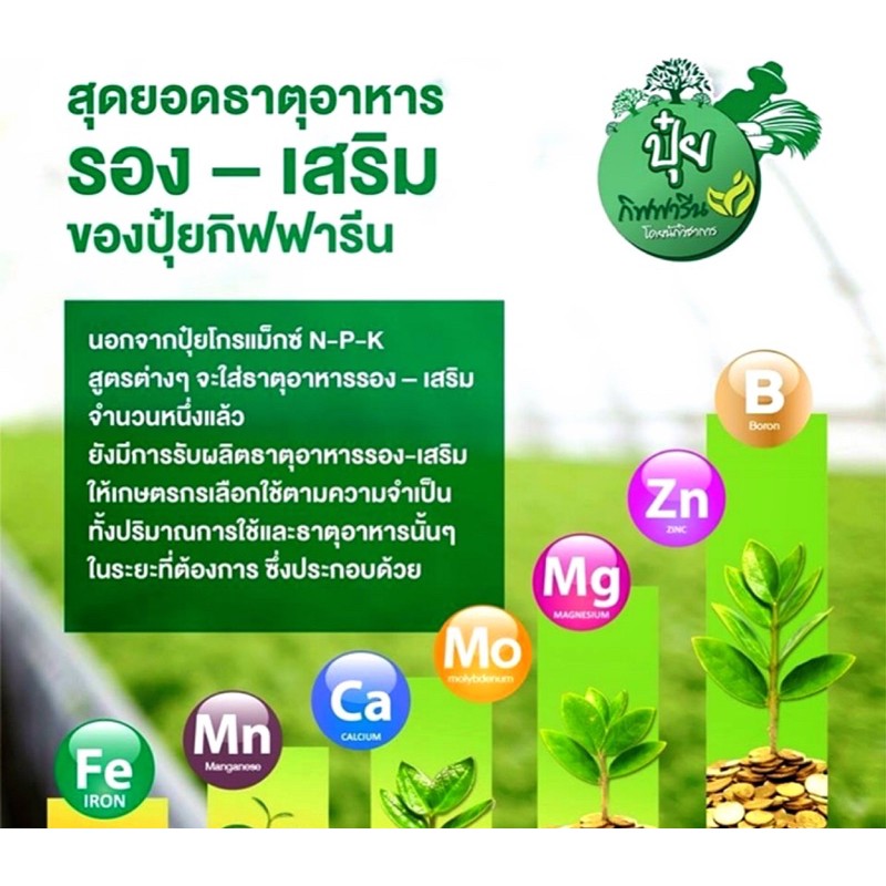 ส่งฟรี-ปุ๋ยกิฟฟารีน-ปุ๋ยเกล็ด-โกรแม็กซ์-อาหารหลัก-grow-max-n-p-k-ปุ๋ยนำเข้าอิสราเอล-ลดต้นทุน-เพิ่มผลผลิต