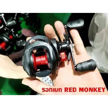 รอกเบท-red-monkey-เรดมังกี้