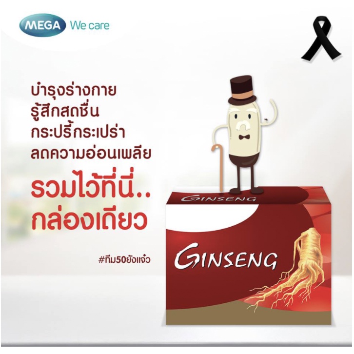 จินโซมิน-เมก้าวีแคร์-ginsomin-mega-wecare-3x10-capsules